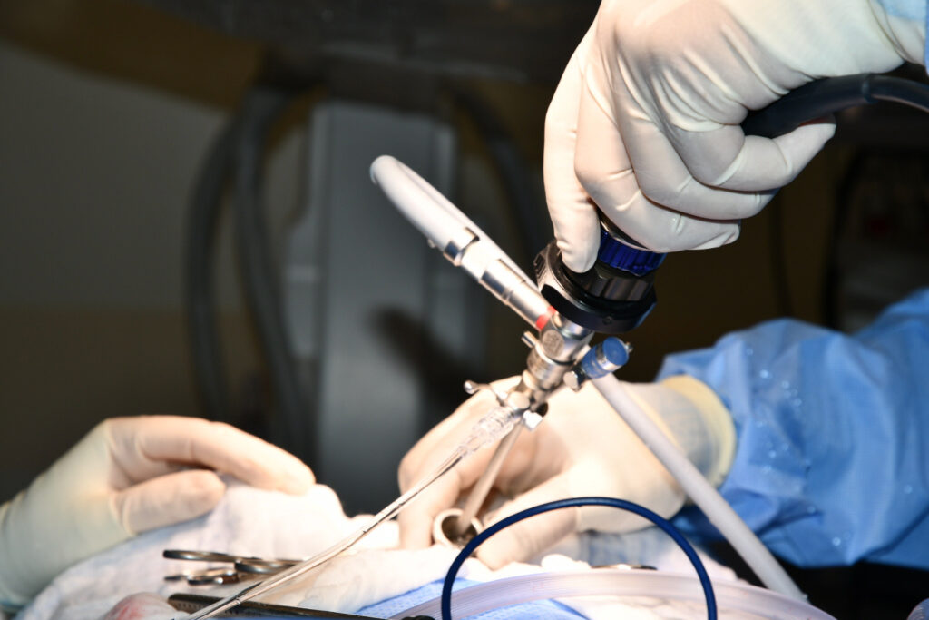 Warning Signs to Visit a Urologist